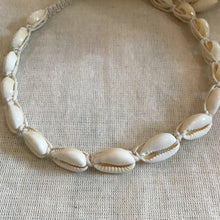 Cowrie Shell Choker