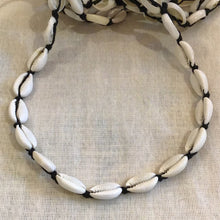 Cowrie Shell Choker