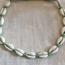 Cowrie Shell Choker