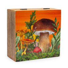 Enamelled Mushroom Box