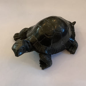 Tortoise