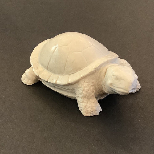 Small Tortoise