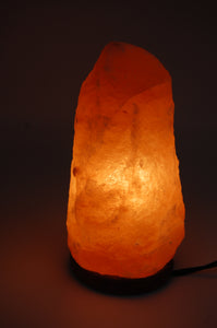 Himalayan Salt Lamps - Various Sizes