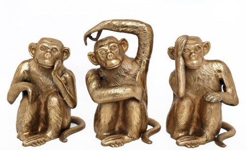 Metal Monkey