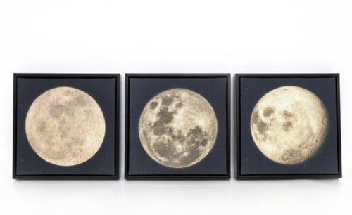 Set Triptych Moon Canvas
